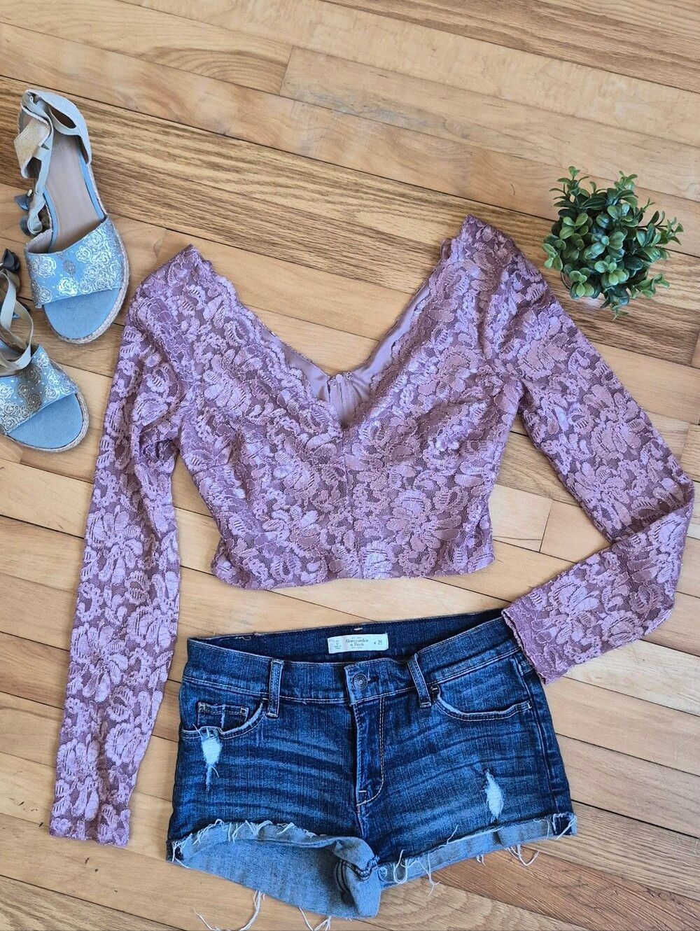 City Triangles Mauve Lace Long Sleeve Cropped Top
